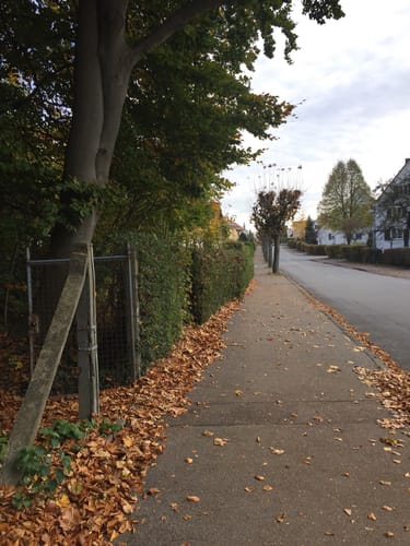 Durch den Schlosspark in Laupheim