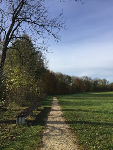 Von Laupheim nach Grubach
