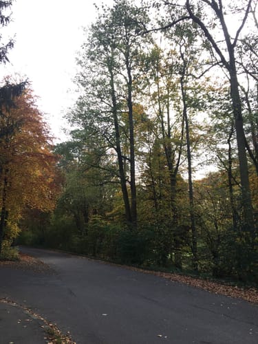 Durch den Schlosspark in Laupheim