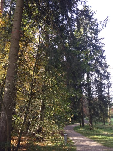 Durch den Schlosspark in Laupheim