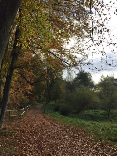 Durch den Schlosspark in Laupheim