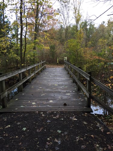 Stony Creek Hiking Trails Best 10 Trails In Stony Creek Metropolitan Park | Alltrails