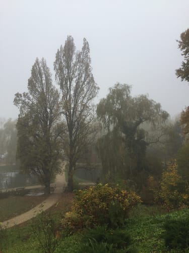 Durch den Schlosspark in Laupheim