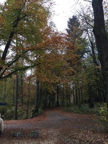 Durch den Schlosspark in Laupheim