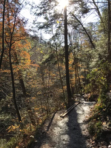 7 Hiking Trails in the USA for Women Over 50