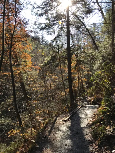 15 Top-Rated Hiking Trails in Pennsylvania