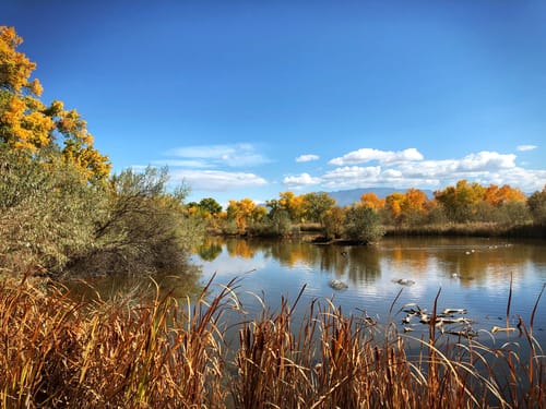 bosque river trail nature center