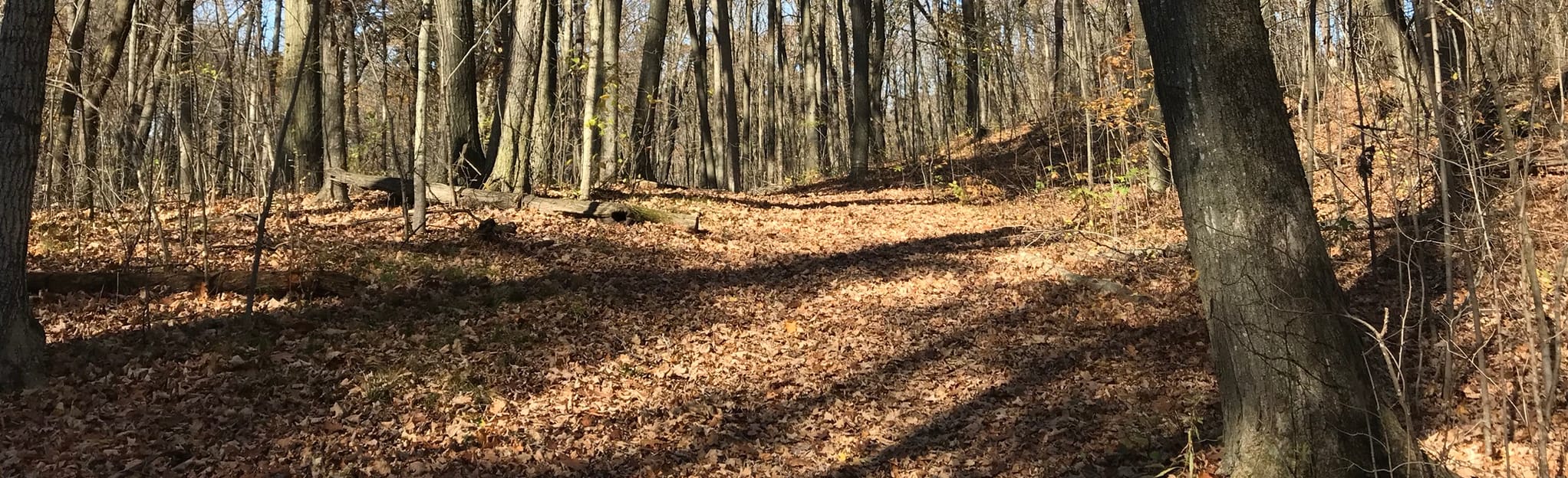 New Fane Trail 404 Reviews, Map Wisconsin AllTrails