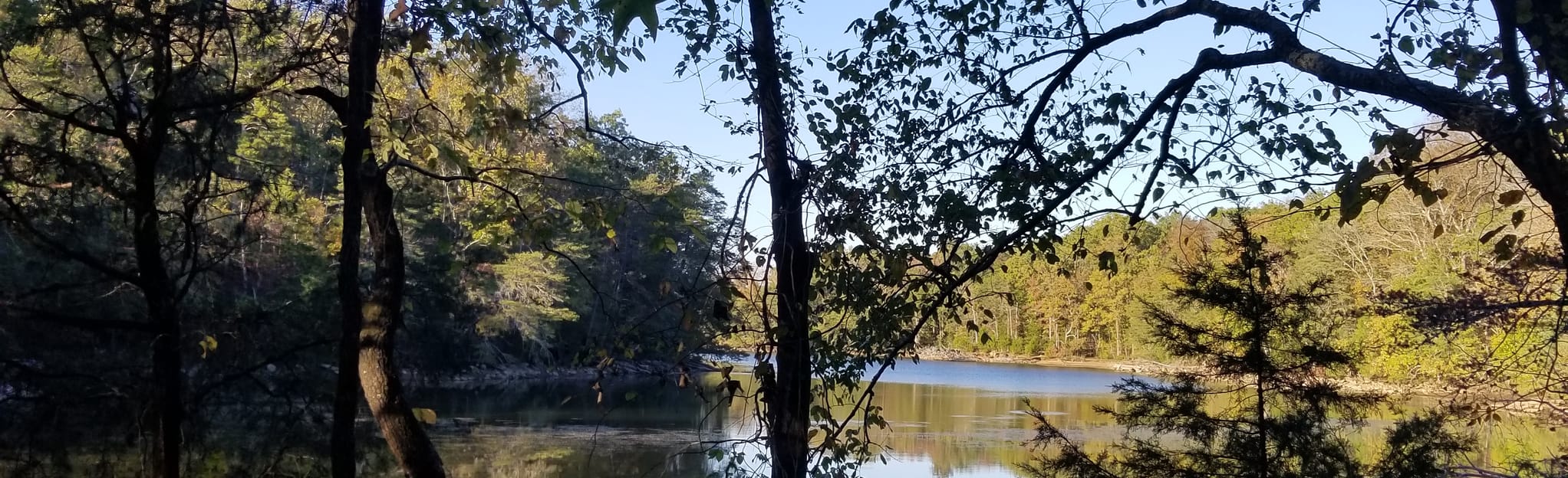 Harrison Bay Lakeshore Loop Trail, Tennessee 54 Reviews, Map AllTrails