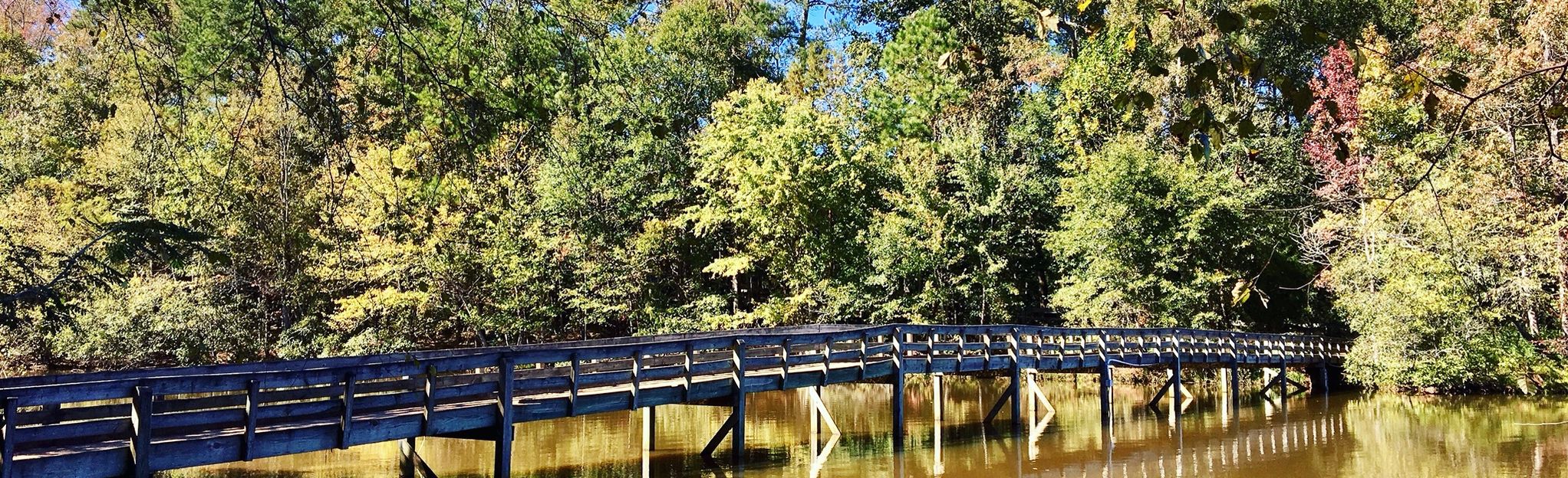 Lake Herrick and Herrick Creek Loop: 298 Reviews, Map - Georgia | AllTrails