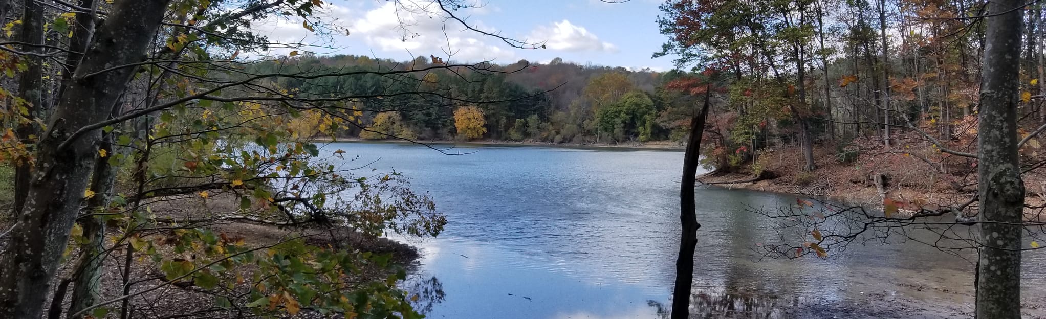 Liberty Reservoir Run Loop 196 Reviews, Map Maryland AllTrails