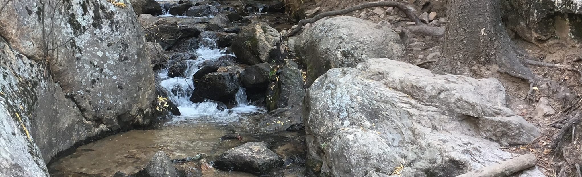 Rio En Medio Falls [CLOSED], New Mexico 370 Reviews, Map AllTrails