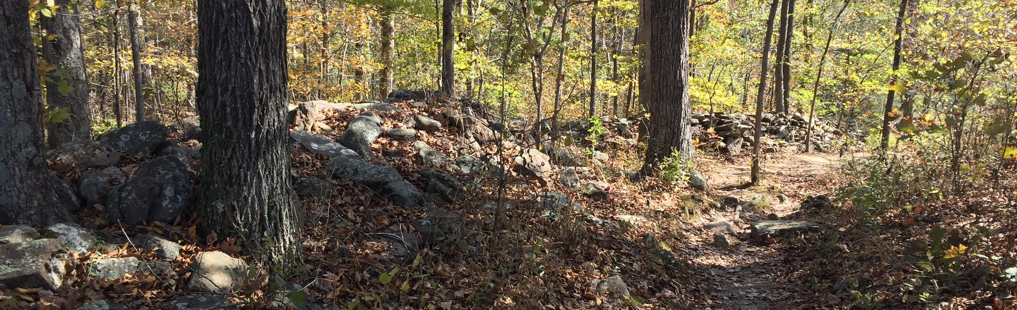 Stone Fort Trail 275 Reviews, Map Illinois AllTrails