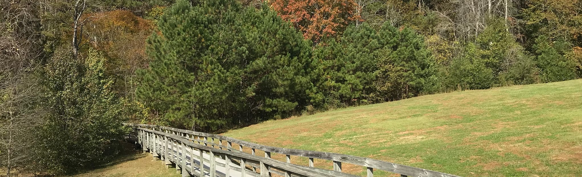 Williams Mill Greenspace Short Loop 55 Reviews, Map AllTrails