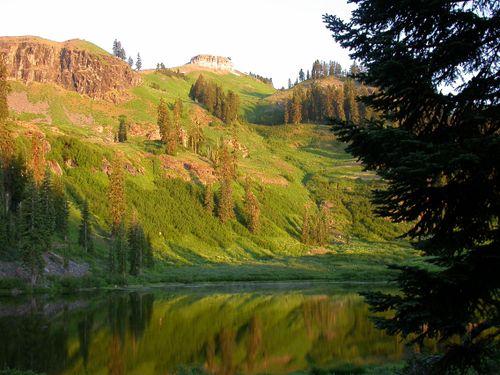 are dogs allowed at klamath national forest