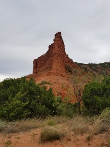 are dogs allowed at caprock canyon state park