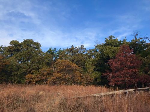 Best 10 Hikes and Trails in Wichita Mountains National Wildlife Refuge ...