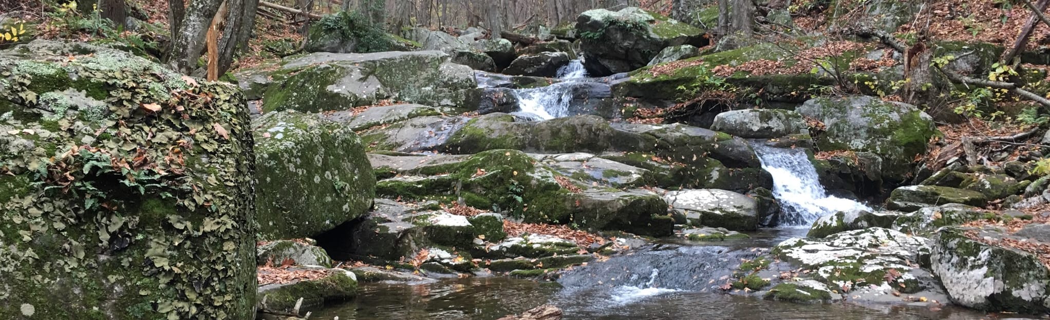 Appalachian, Rose River, and Lewis Spring Falls Trail Loop, Virginia ...