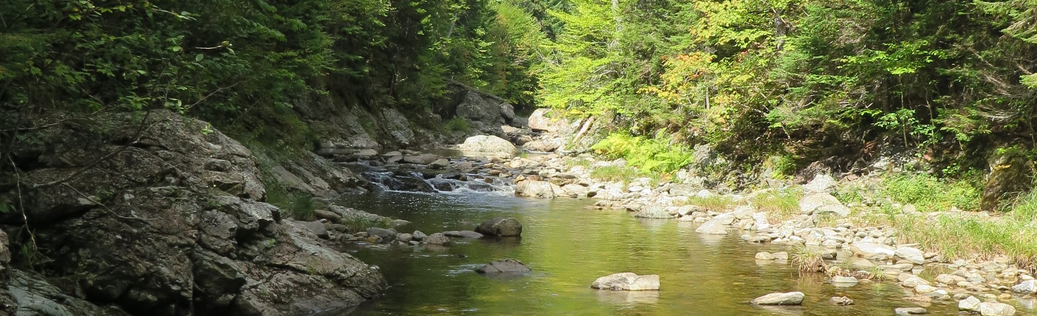 Little Salmon River, New Brunswick, Canada 3 Reviews, Map AllTrails