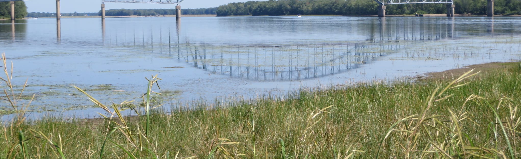 Oromocto Island, New Brunswick, Canada 3 Reviews, Map AllTrails