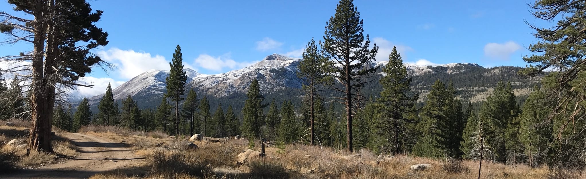 Hope Valley, California 101 Reviews, Map AllTrails