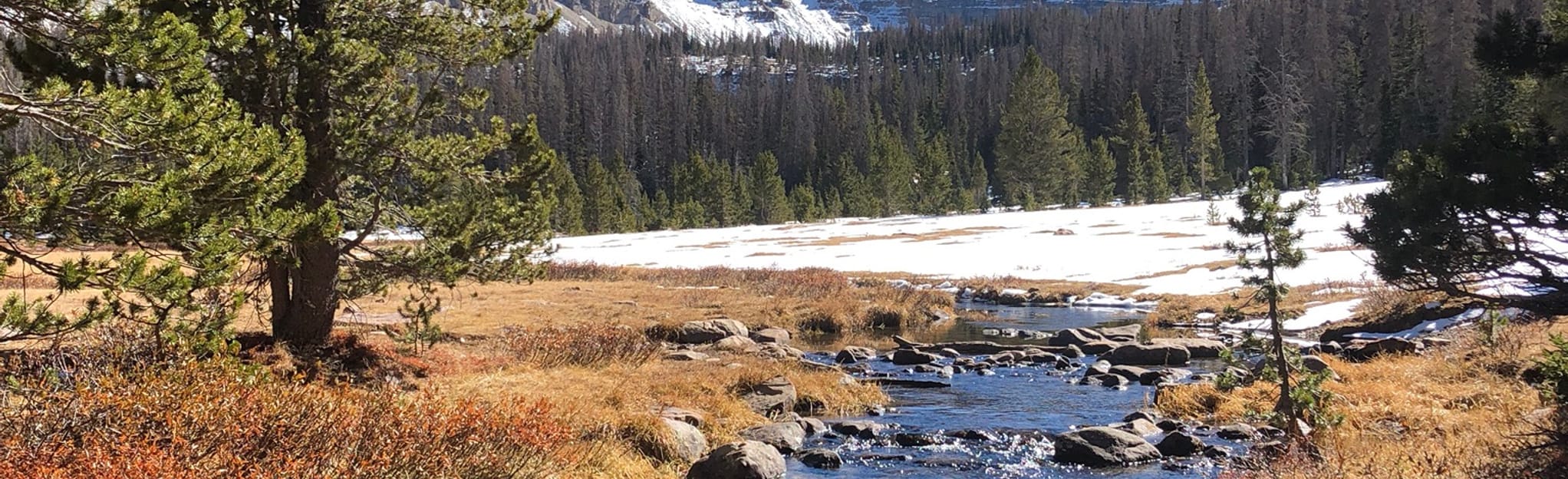 Ostler Lake via Stillwater and Amethyst Lake Trails, Utah 177 Reviews