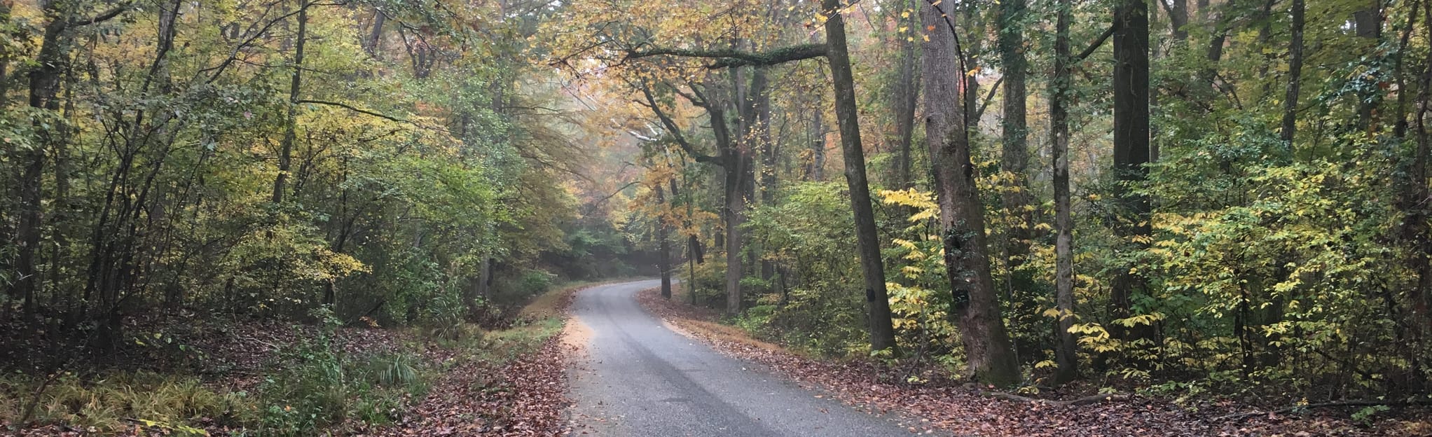 Clear Springs Nature Trail 51 Reviews, Map Mississippi AllTrails