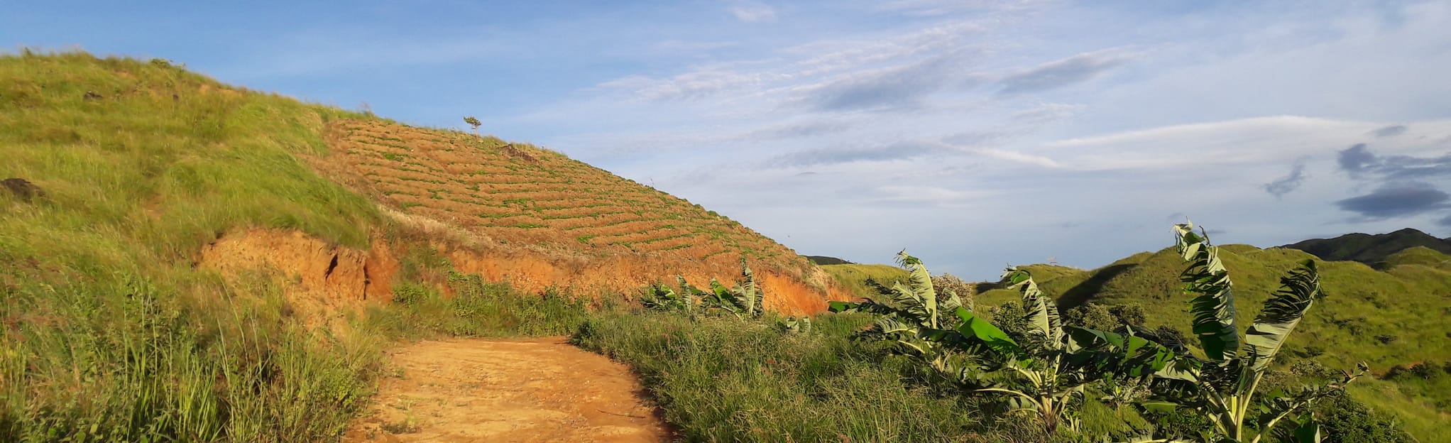 mount-regal-7-fotos-nueva-ecija-philippinen-alltrails