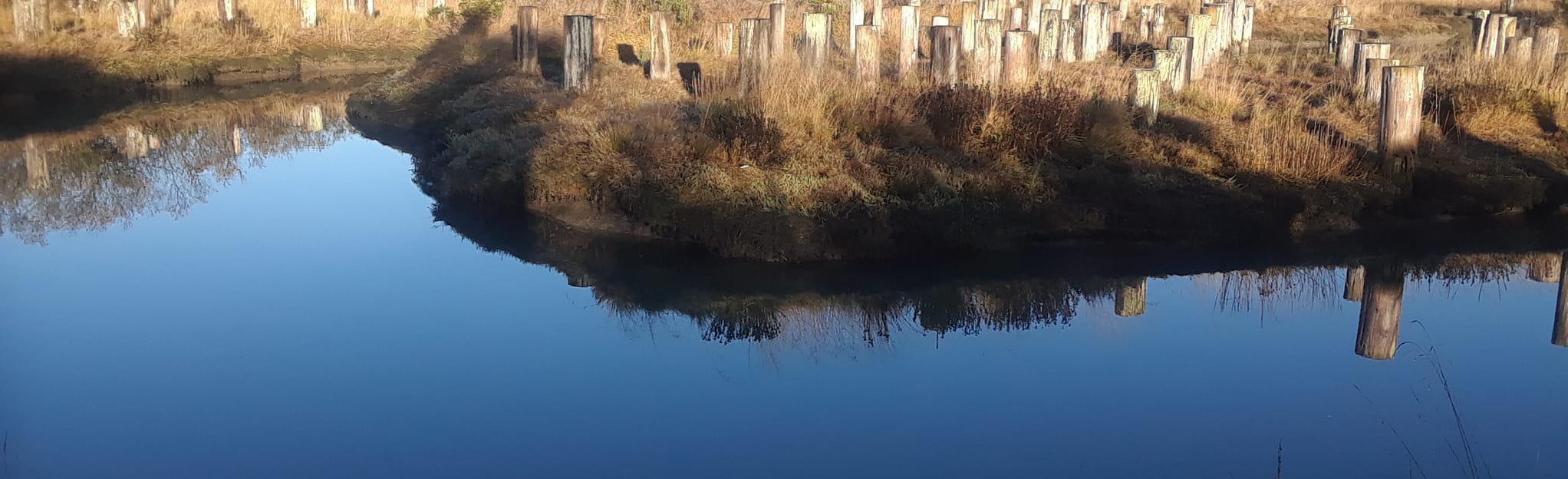 Allen Marsh and Butcher Slough Log Pond Loop Map, Guide California