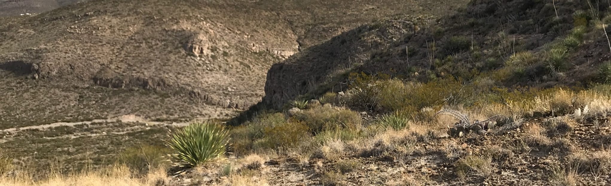 Goat Springs Trail #118: 302 foto's - New Mexico | Wandelen - AllTrails