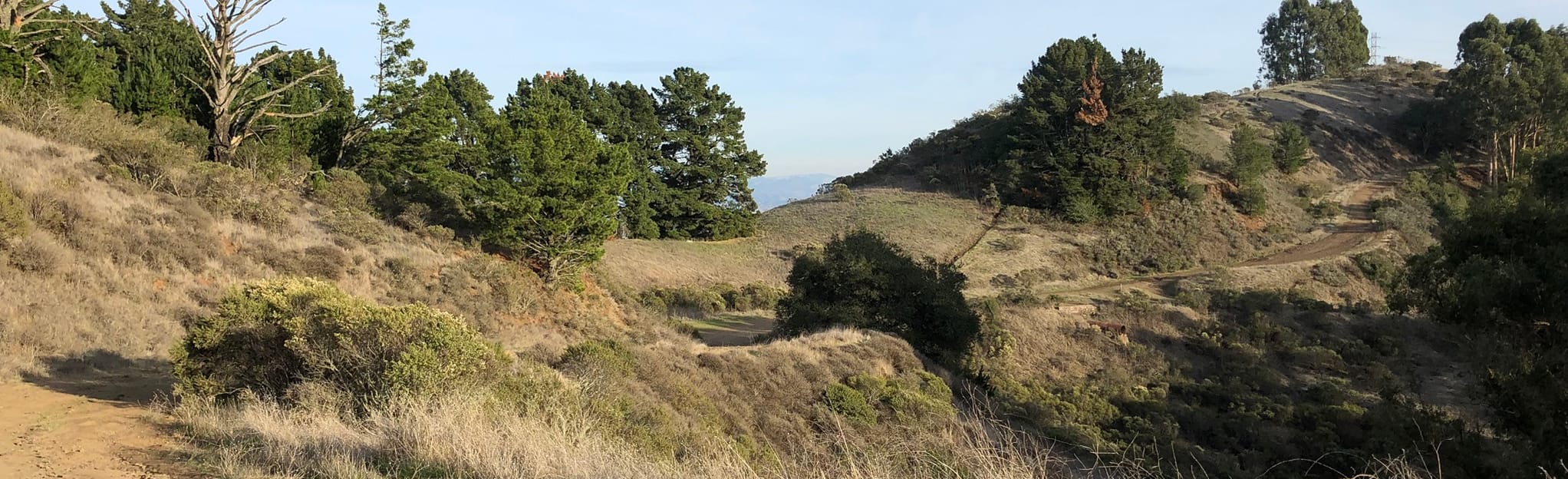 Upper Big Springs, Seaview, and Quarry Trails Loop 1271 Reviews, Map