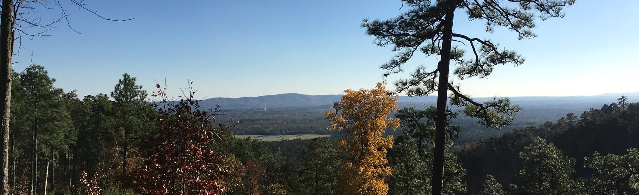 Longleaf Pine Trail, 63 Reviews, Map AllTrails