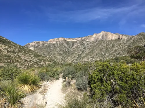 Best 10 Hiking Trails in Guadalupe Mountains National Park | AllTrails