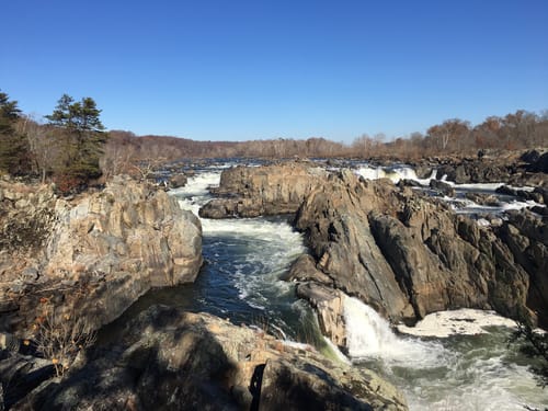 are dogs allowed at great falls park