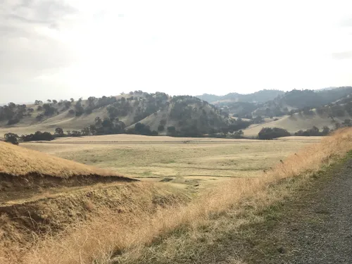 Black Diamond Mines Regional Preserve