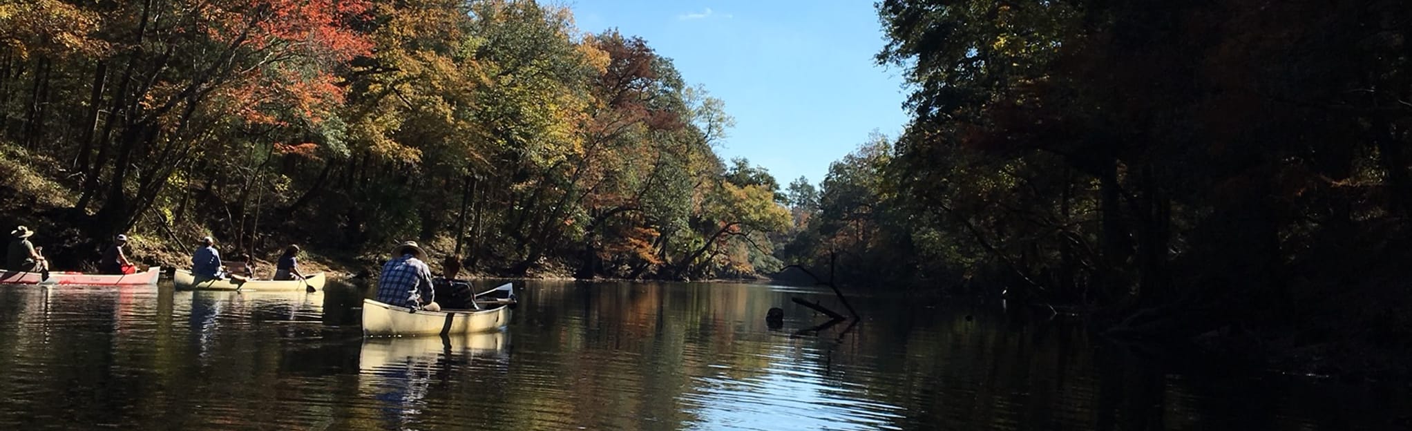 Chipola River Paddle Route Peacock Bridge to Look and Tremble Rapid