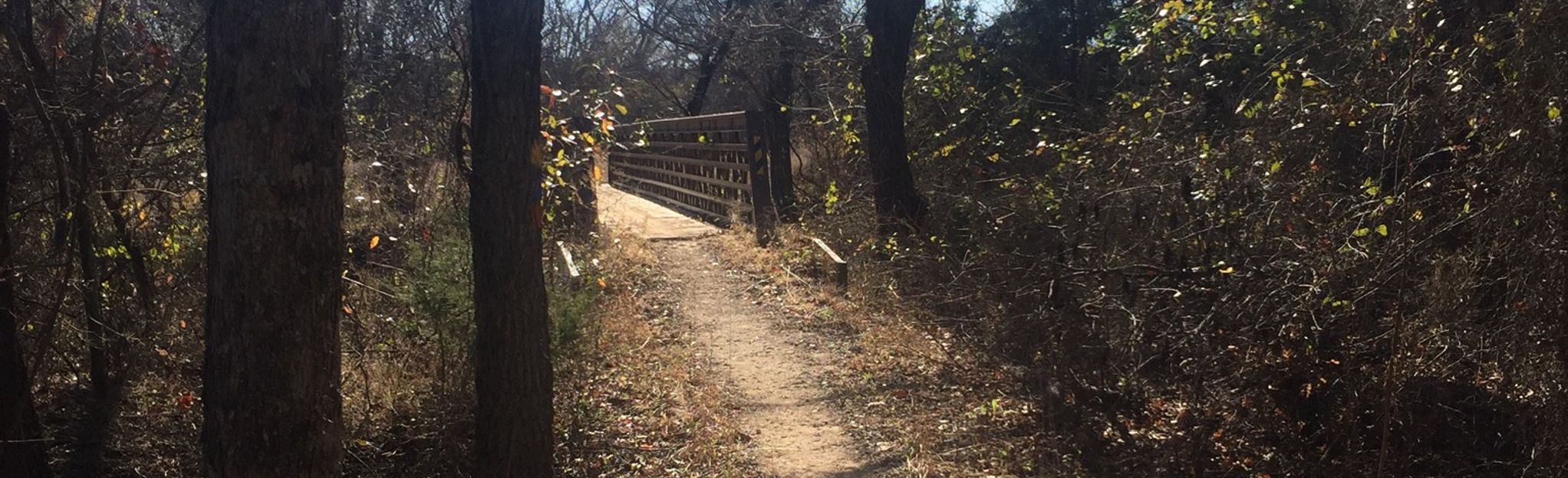 Lbj Grasslands Yellow Trail Texas Reviews Map Alltrails