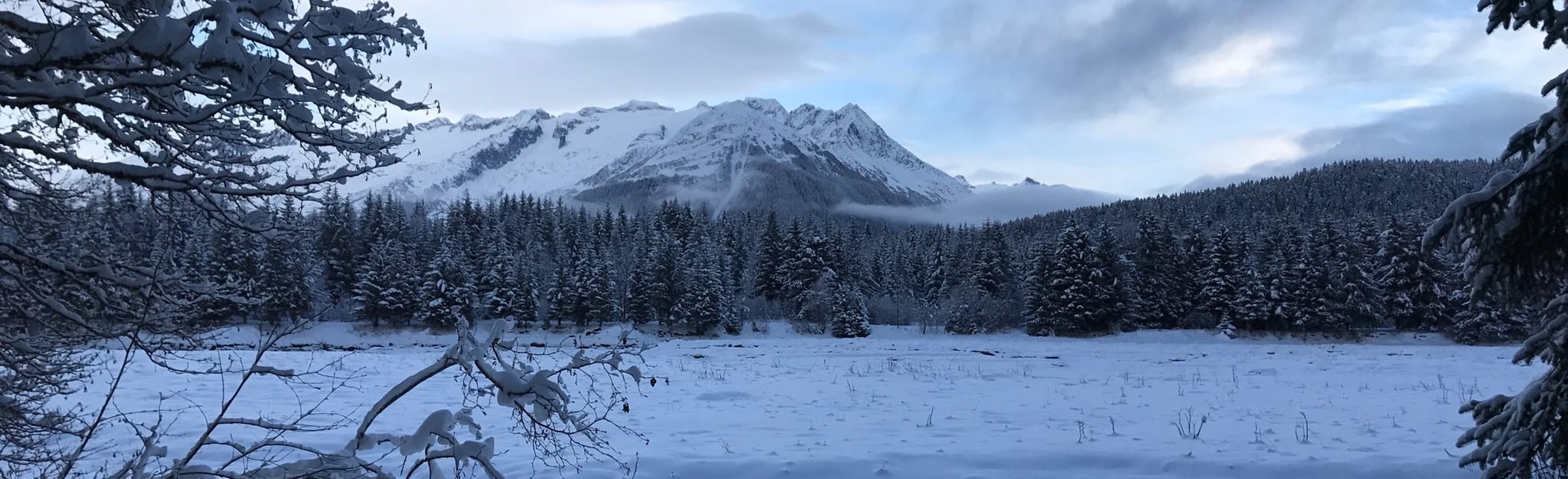 Boy Scout Camp Trail 78 foto's Alaska AllTrails