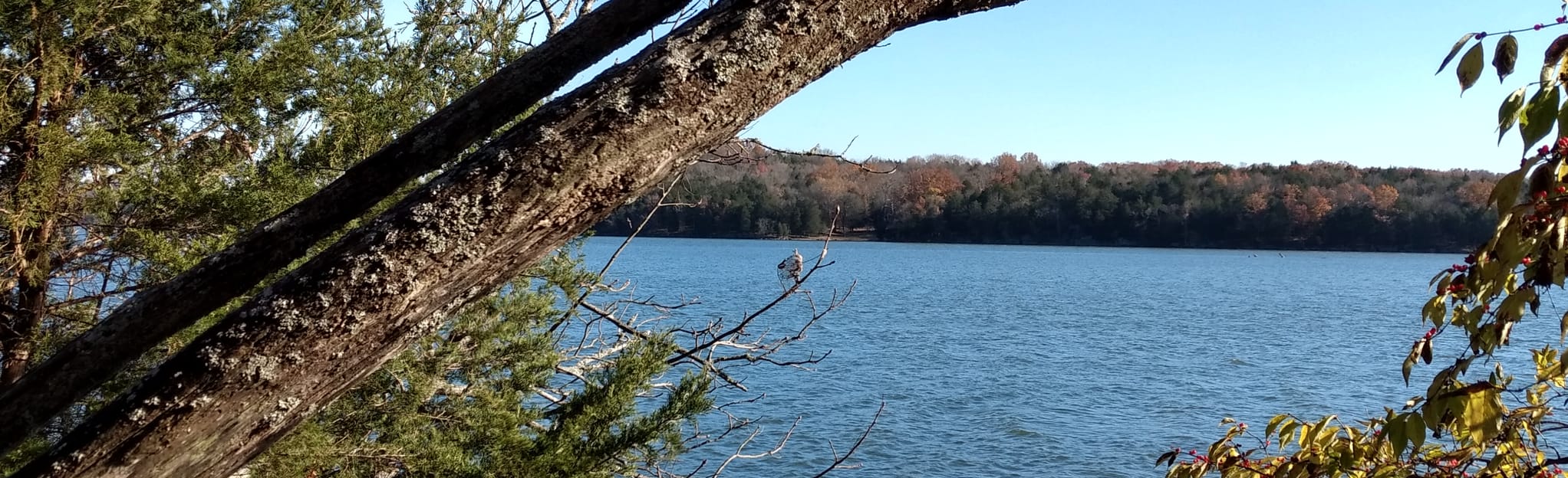 Lock 4 Mountain Bike Trail, Tennessee 425 Reviews, Map AllTrails