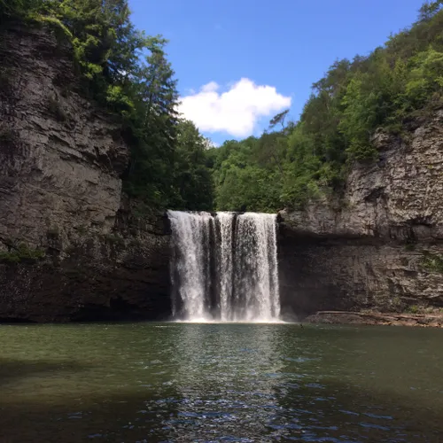 Best 10 Hikes and Trails in Fall Creek Falls State Park | AllTrails