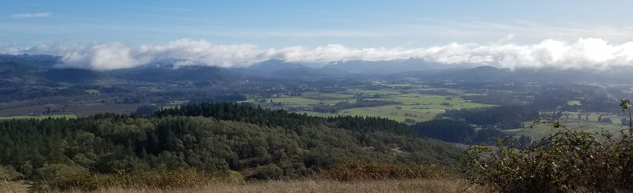 Mount Pisgah Trail CLOSED Oregon - EyJidWNrZXQiOiJhc3NldHMuYWxsdHJhaWxzLmNvbSIsImtleSI6InVwbG9hZHMvcGhvdG8vaW1hZ2UvMTk5NzEzNDcvODY1MDdmOTViMDYzZGNkNzIxZThkZDk5M2Q0MzJjYzIuanBnIiwiZWRpdHMiOnsidG9Gb3JtYXQiOiJqcGVnIiwicmVzaXplIjp7IndpZHRoIjoyMDQ0LCJoZWlnaHQiOjYyNCwiZml0IjoiY292ZXIifSwicm90YXRlIjpudWxsLCJqcGVnIjp7InRyZWxsaXNRdWFudGlzYXRpb24iOnRydWUsIm92ZXJzaG9vdERlcmluZ2luZyI6dHJ1ZSwib3B0aW1pc2VTY2FucyI6dHJ1ZSwicXVhbnRpc2F0aW9uVGFibGUiOjN9fX0=