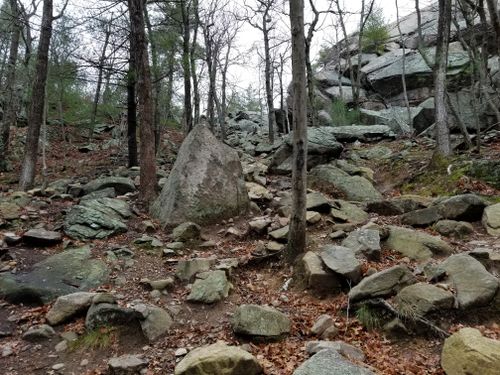 Blue Hills Hiking Trails Best 10 Trails In Blue Hills Reservation | Alltrails