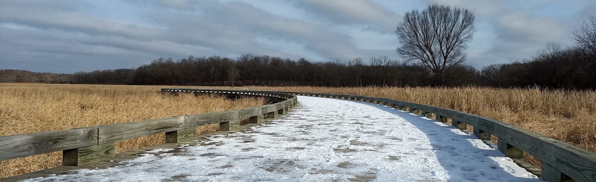 Cuba Marsh Forest Preserve, Illinois 538 Reviews, Map AllTrails