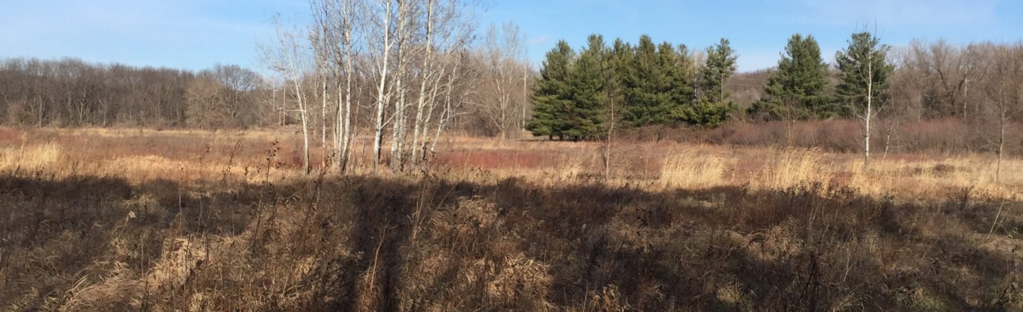 Cottonwood Recreation Area via Neal Smith Trail, Iowa 120 Reviews