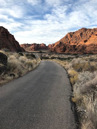 are dogs allowed in snow canyon state park