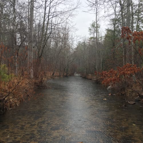 pine log creek trail open