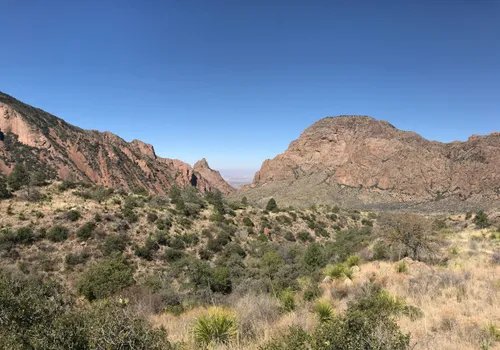 are dogs allowed in big bend national park texas