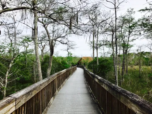 10 Best Hikes and Trails in Big Cypress National Preserve | AllTrails