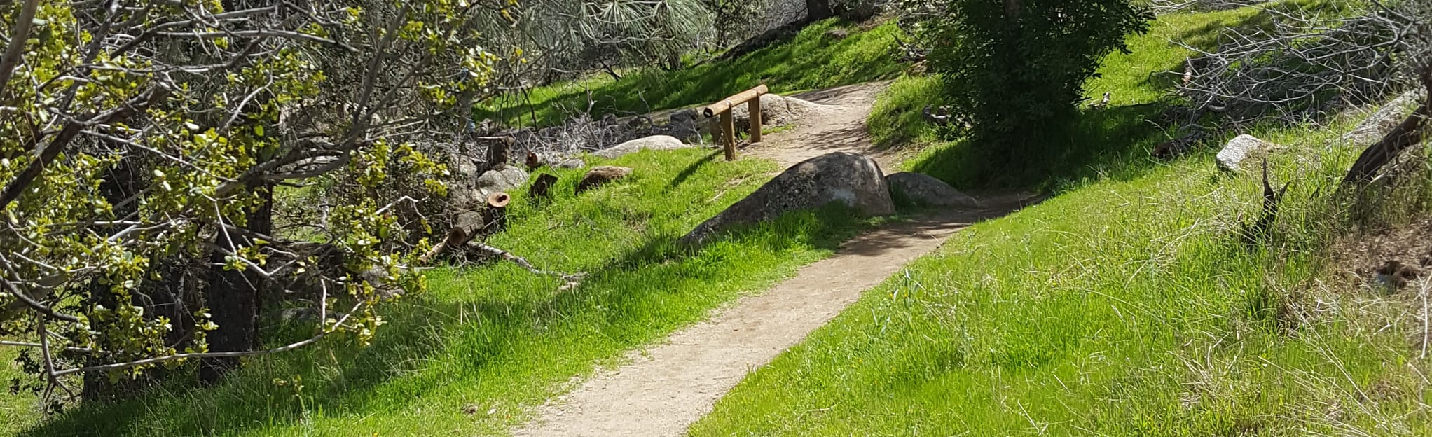 Remington Hot Spring Trail 336 Reviews, Map California AllTrails