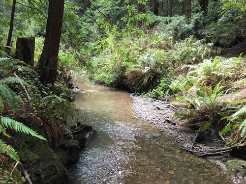 Butano hotsell trail camp